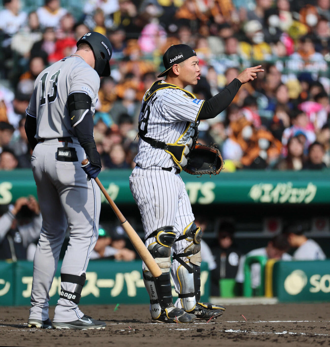 阪神対巨人　8回表巨人、嶋村はナインに声を掛ける（撮影・宮崎幸一）