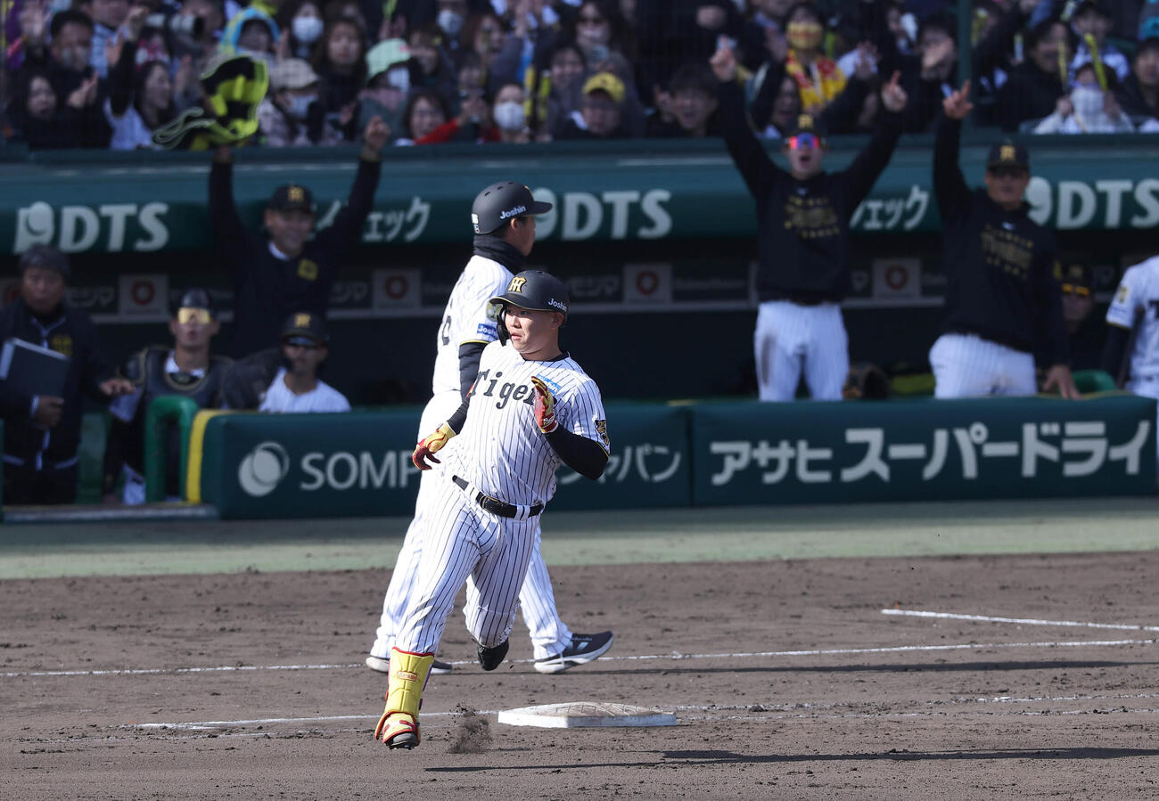 阪神対巨人　8回裏阪神1死、嶋村は右越えソロ本塁打を放つ（撮影・上田博志）