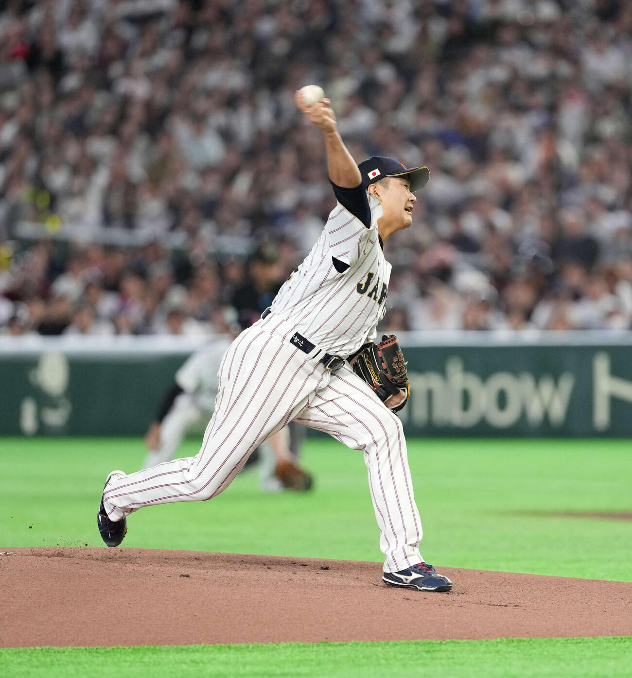 日本対オーストラリア　力投する日本先発の菅野（撮影・井上学）