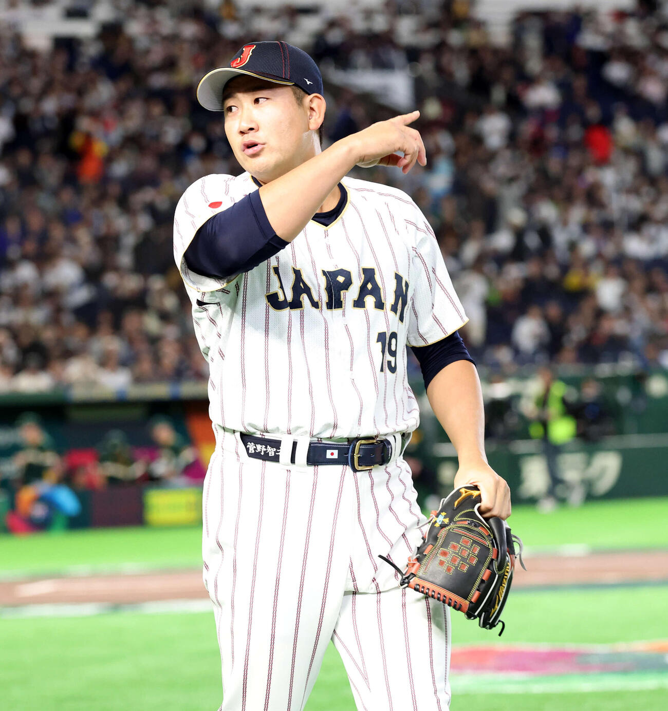日本対オーストラリア　グラウンドに出る菅野（撮影・浅見桂子）