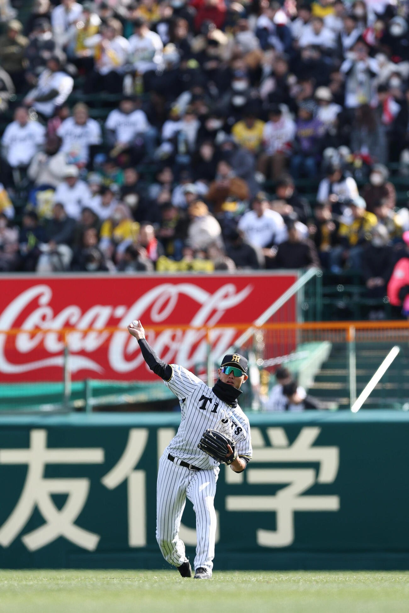 阪神対西武　6回表、右翼で出場する阪神西純（撮影・前田充）