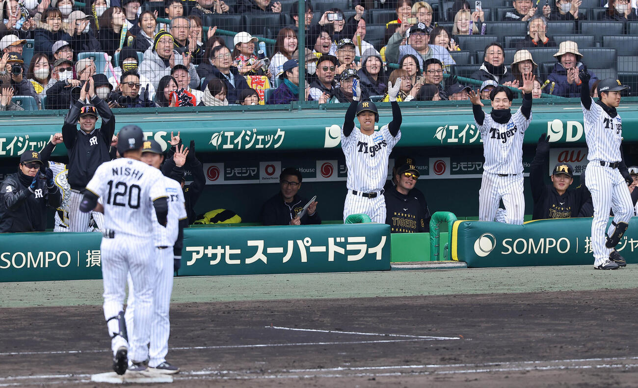 阪神対西武　8回裏阪神1死三塁、西純の勝ち越し適時打で盛り上がる阪神ベンチ（撮影・上田博志）