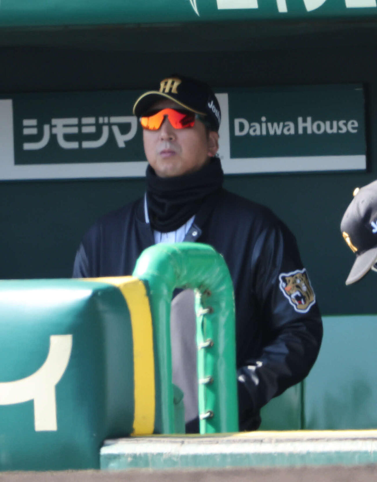 阪神対西武　試合を見る阪神藤川監督（撮影・西尾就之）