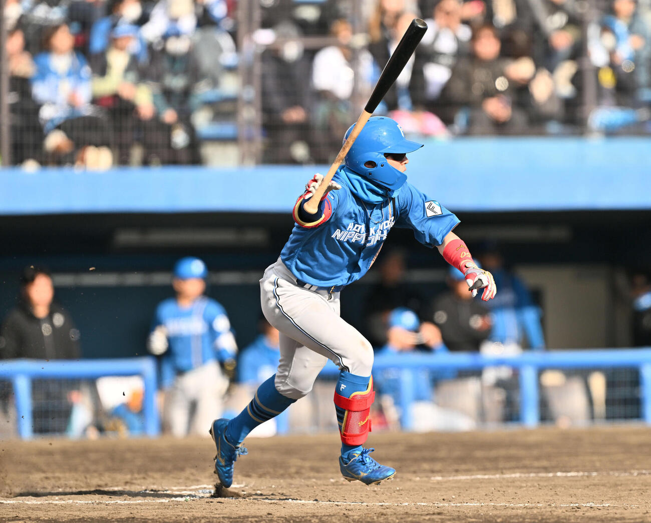楽天対日本ハム　9回表日本ハム無死、五十幡は中前打を放つ（撮影・滝沢徹郎）