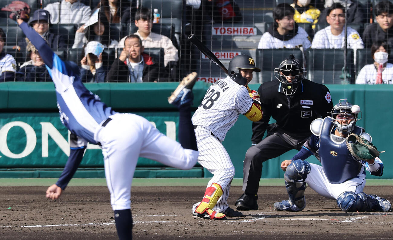 阪神対西武　5回裏阪神無死、嶋村は四球を選ぶ（撮影・上田博志）