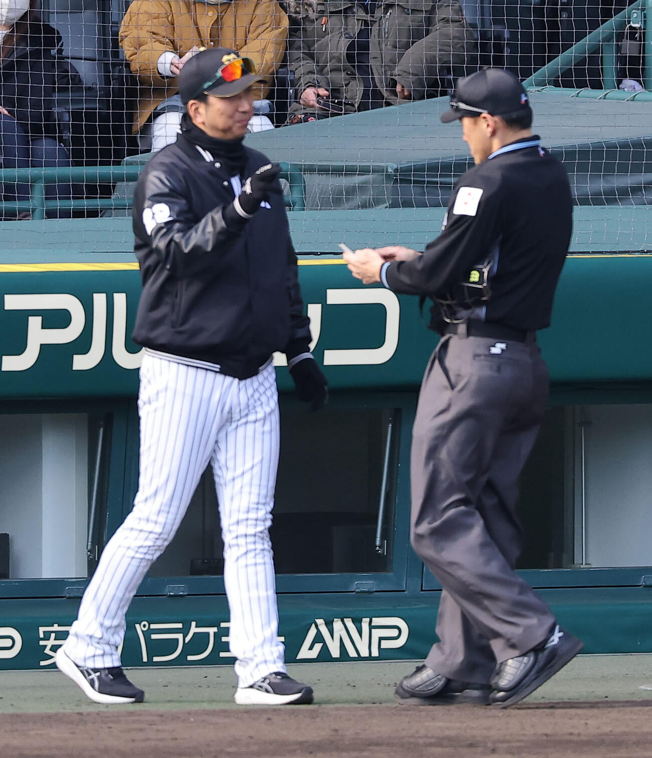 阪神対西武　選手交代を告げた藤川監督はベンチに引き揚げる（撮影・上田博志）