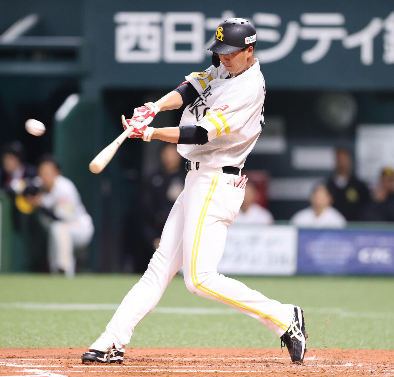 ソフトバンク対巨人　1回裏ソフトバンク2死満塁、秋広は右中間に満塁本塁打を放つ（撮影・梅根麻紀）