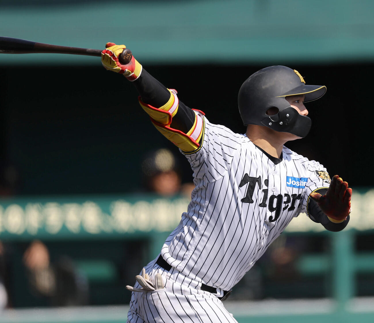 阪神対オリックス春季教育リーグ　4回裏阪神無死、嶋村は右前打を放つ（撮影・上田博志）