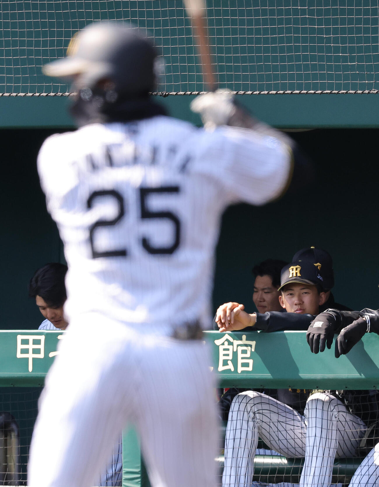 ベンチで試合を見る阪神立石正広（撮影・上田博志）