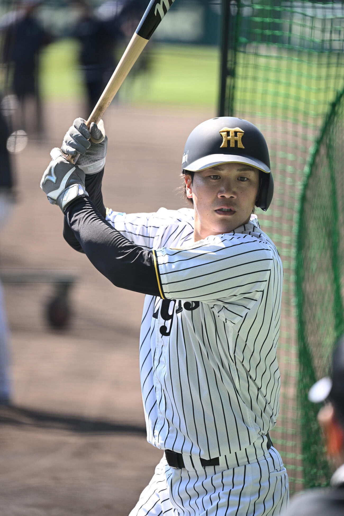 打撃練習をする阪神伏見（撮影・和賀正仁）
