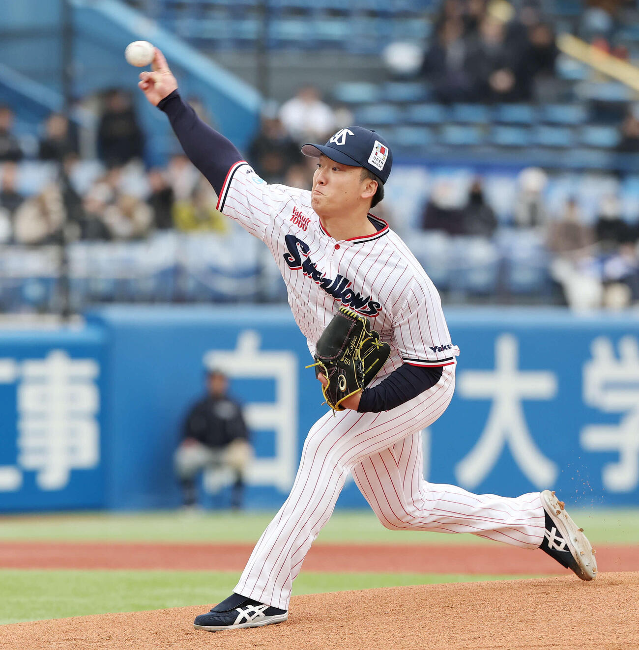 ヤクルト対オリックス　ヤクルト先発の吉村（撮影・宮地輝）