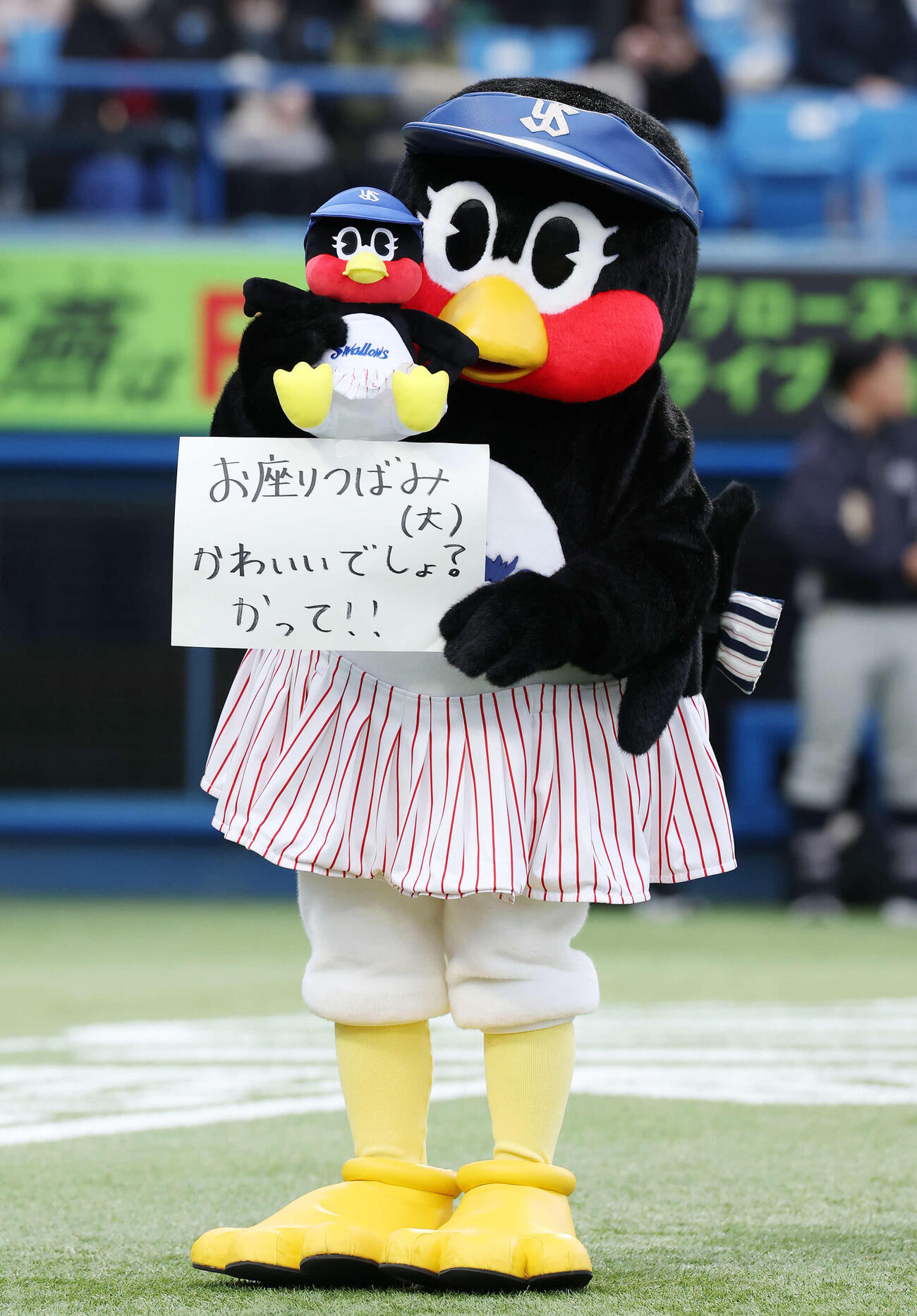 ヤクルト対オリックス　5回裏終了後、お座りつばみを宣伝するつばみ（撮影・宮地輝）