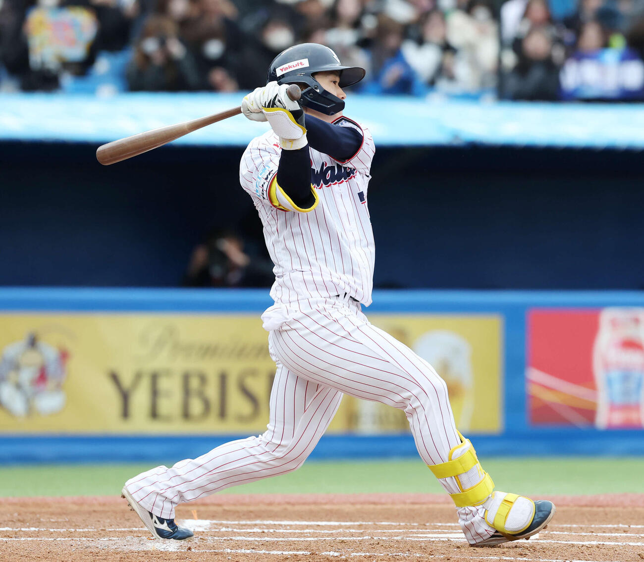 ヤクルト対オリックス　1回裏ヤクルト無死、右前打を放つ長岡（撮影・宮地輝）