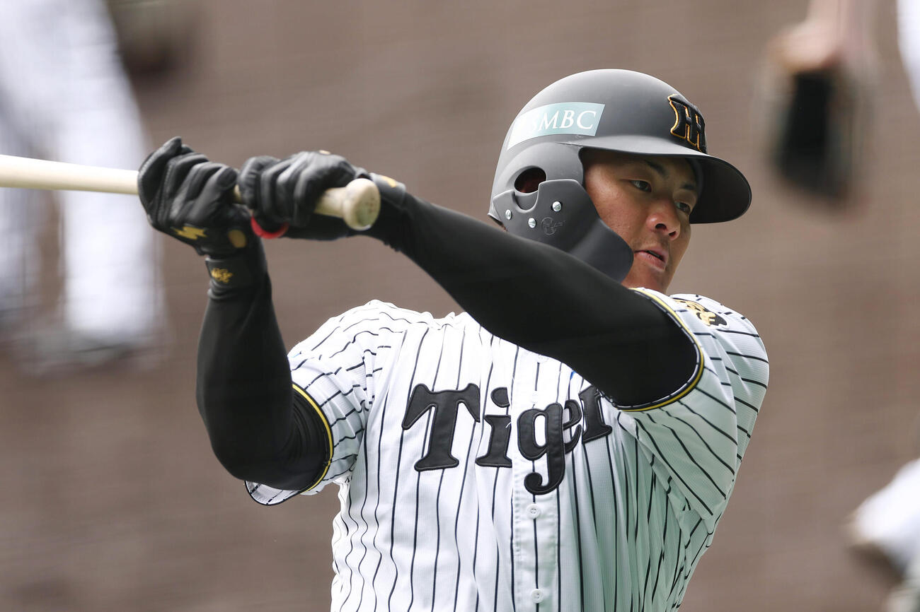 打撃練習を行う阪神前川（撮影・前田充）