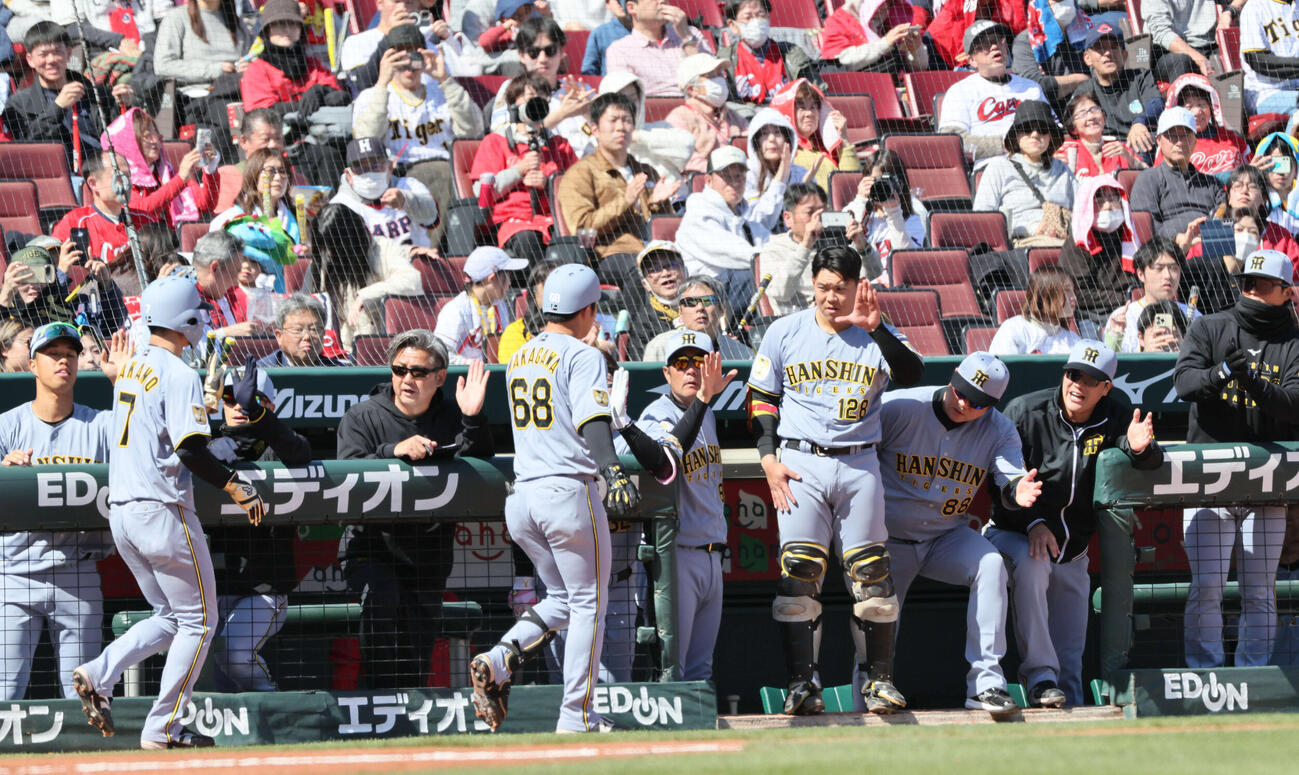 広島対阪神　3回表阪神1死一塁、中川は左越え2点本塁打を放った中川を迎えるチームメート（撮影・加藤孝規）