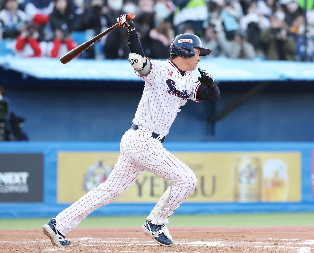 ヤクルト対オリックス　6回裏ヤクルト1死、二ゴロに倒れる川端（撮影・宮地輝）