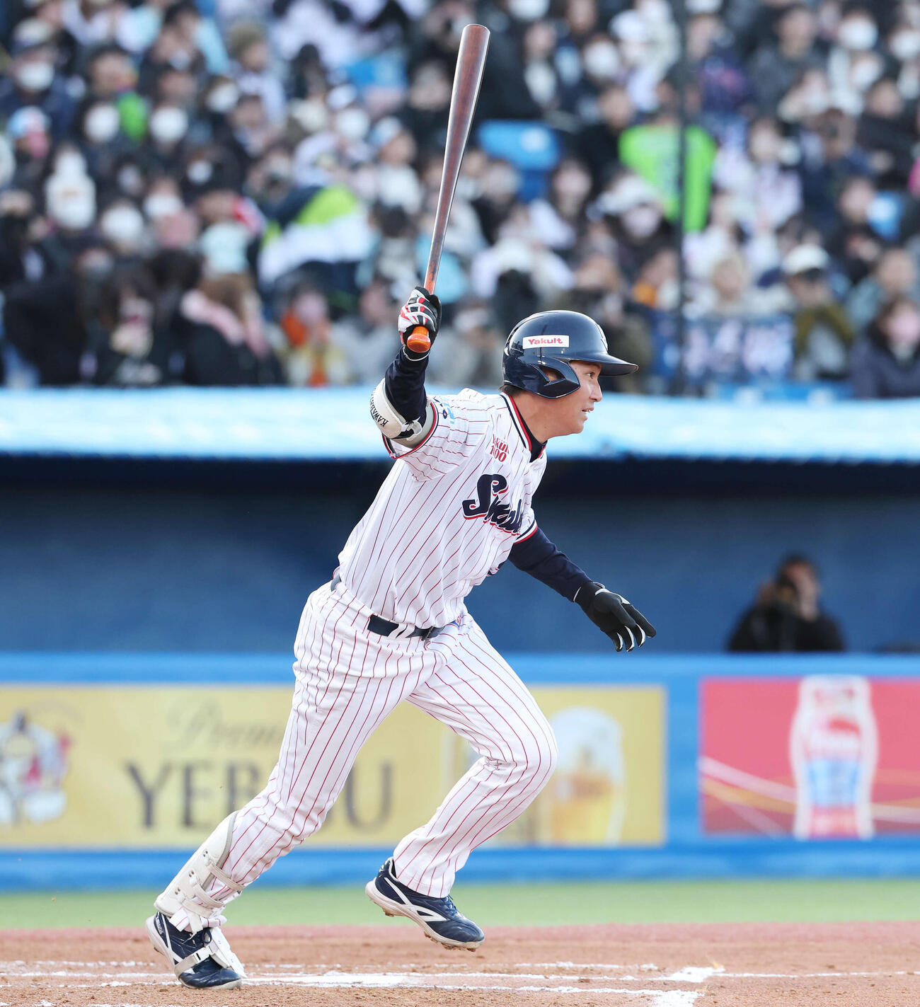 ヤクルト対オリックス　6回裏ヤクルト1死、二ゴロに倒れる川端（撮影・宮地輝）