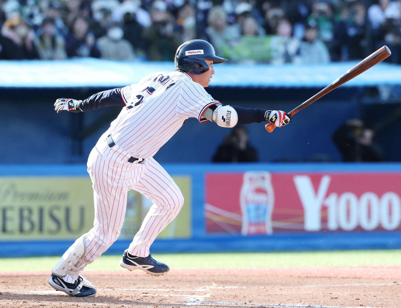 ヤクルト対オリックス　3回裏ヤクルト1死一塁、二ゴロに倒れる川端（撮影・宮地輝）