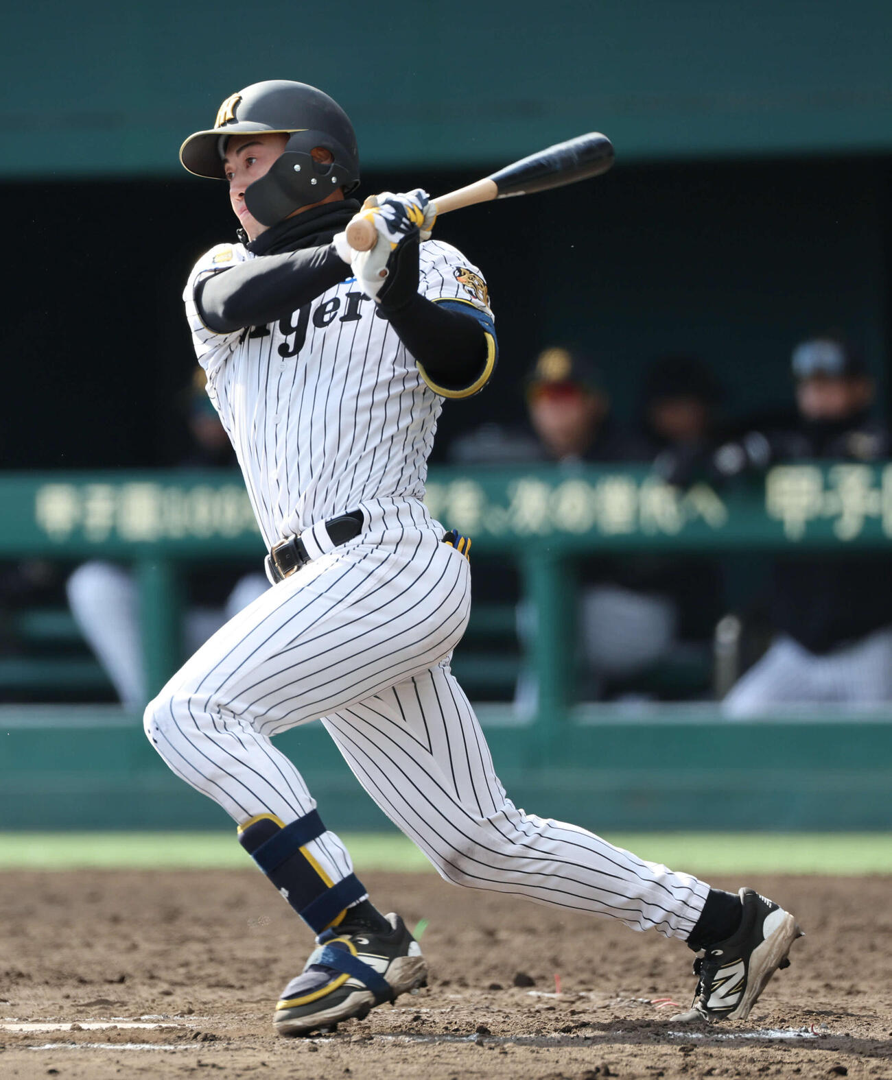 佐野大陽（2026年3月撮影）