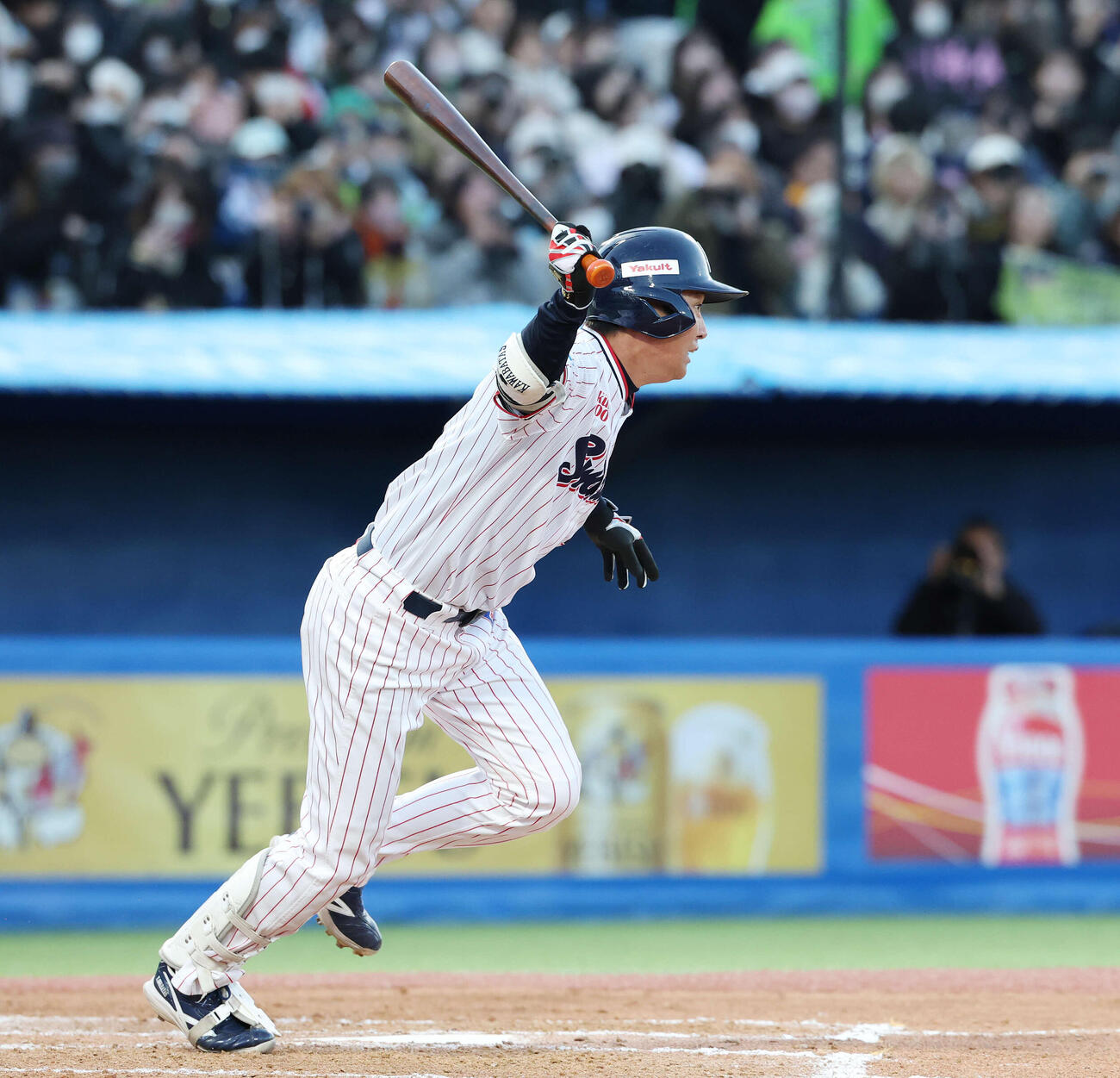 ヤクルト対オリックス　8回裏ヤクルト1死、投ゴロに倒れる川端（撮影・宮地輝）