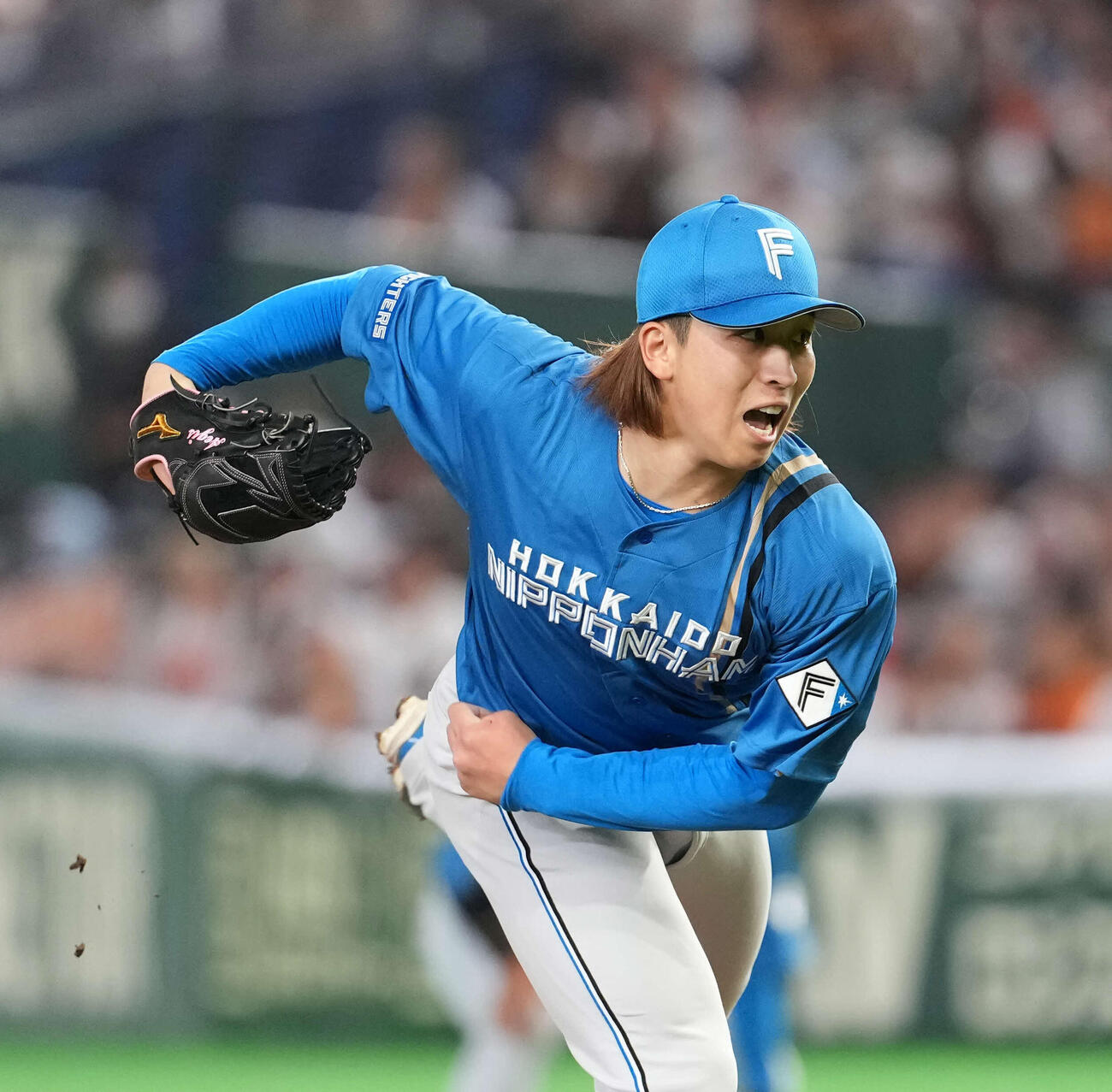 巨人対日本ハム　日本ハム先発の細野（撮影・井上学）