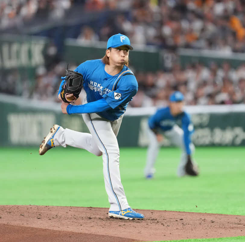 巨人対日本ハム　日本ハム先発の細野（撮影・井上学）