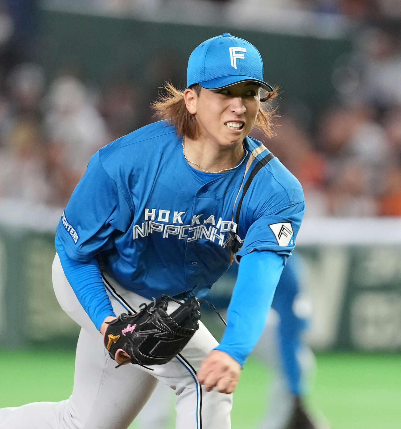 巨人対日本ハム　力投する日本ハム先発の細野（撮影・井上学）