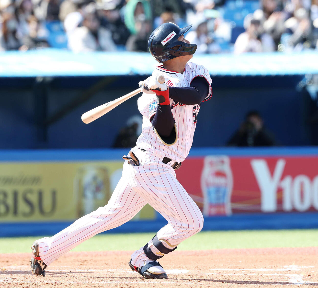 ヤクルト対オリックス　2回裏ヤクルト2死一、二塁、左2点適時二塁打を放つ橋本（撮影・宮地輝）