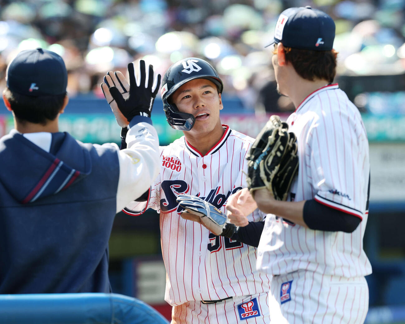 ヤクルト対オリックス　2回裏ヤクルト2死二塁、岩田の中適時二塁打で生還しタッチを交わす橋本（撮影・宮地輝）