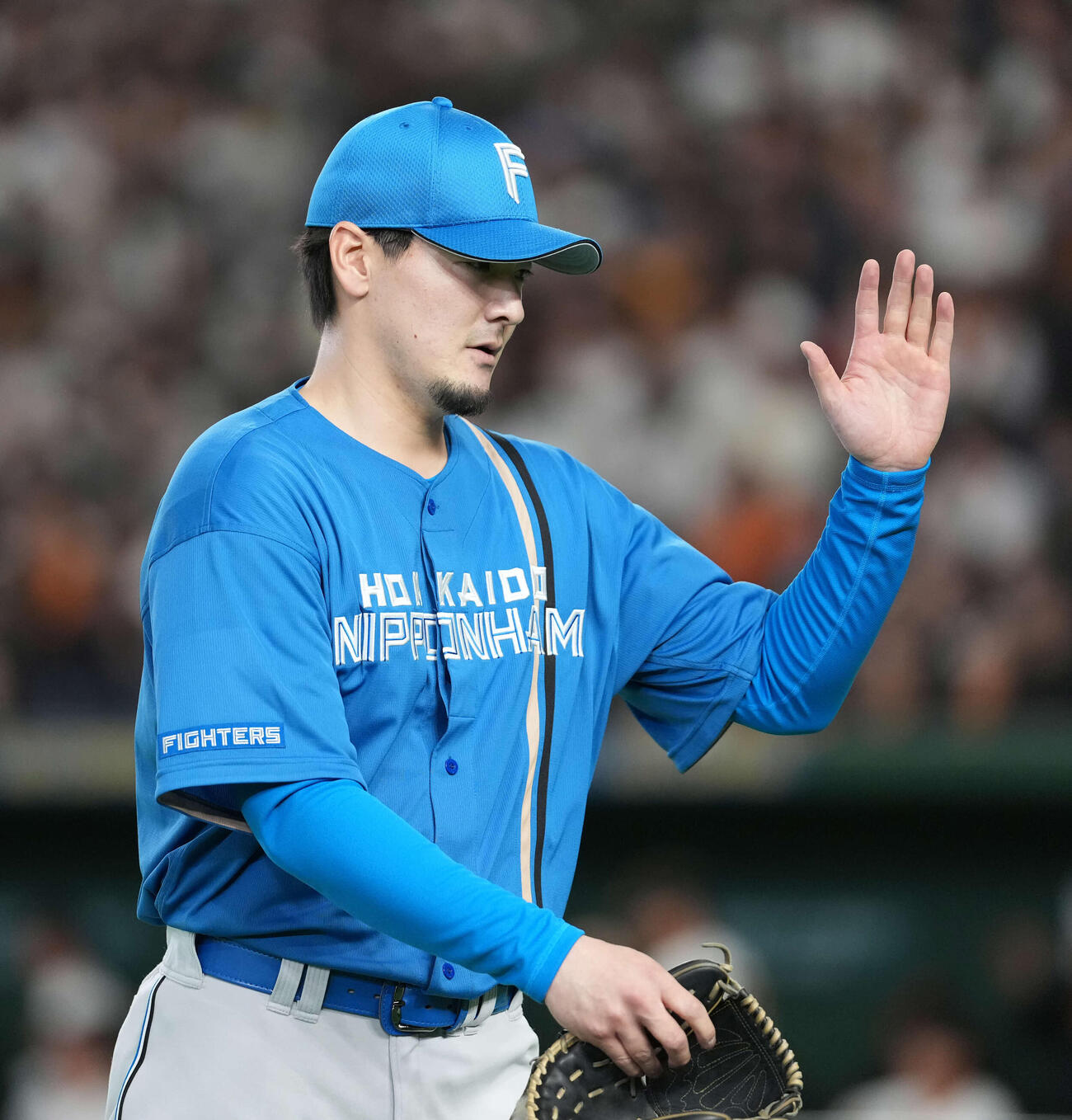 巨人対日本ハム　2回を終え引き揚げる有原（撮影・井上学）