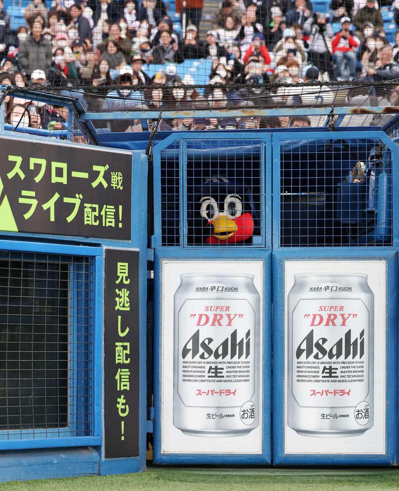 ヤクルト対オリックス　鶏小屋に姿を現すつば九郎（撮影・宮地輝）