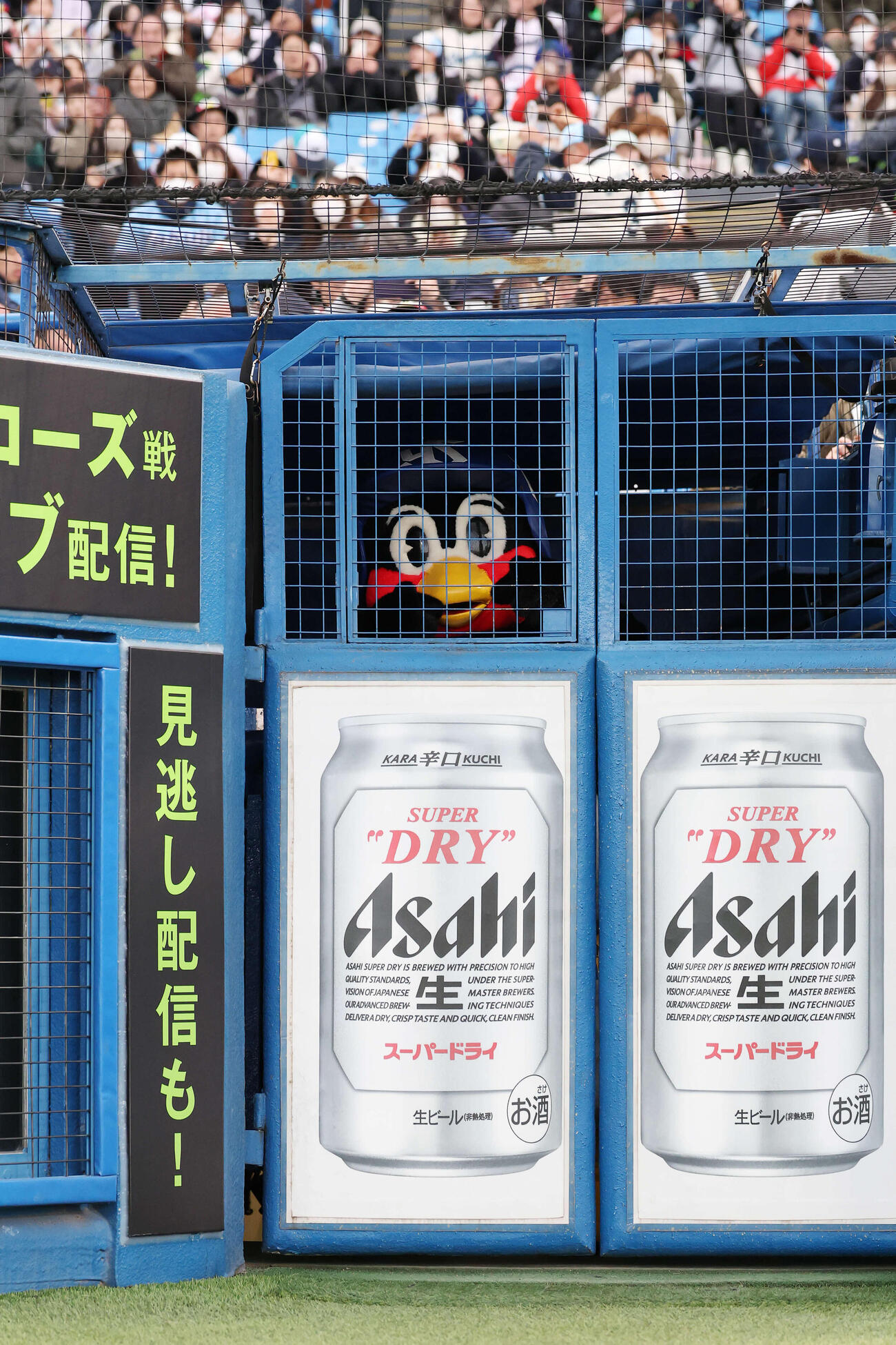 ヤクルト対オリックス　鶏小屋に姿を現すつば九郎（撮影・宮地輝）