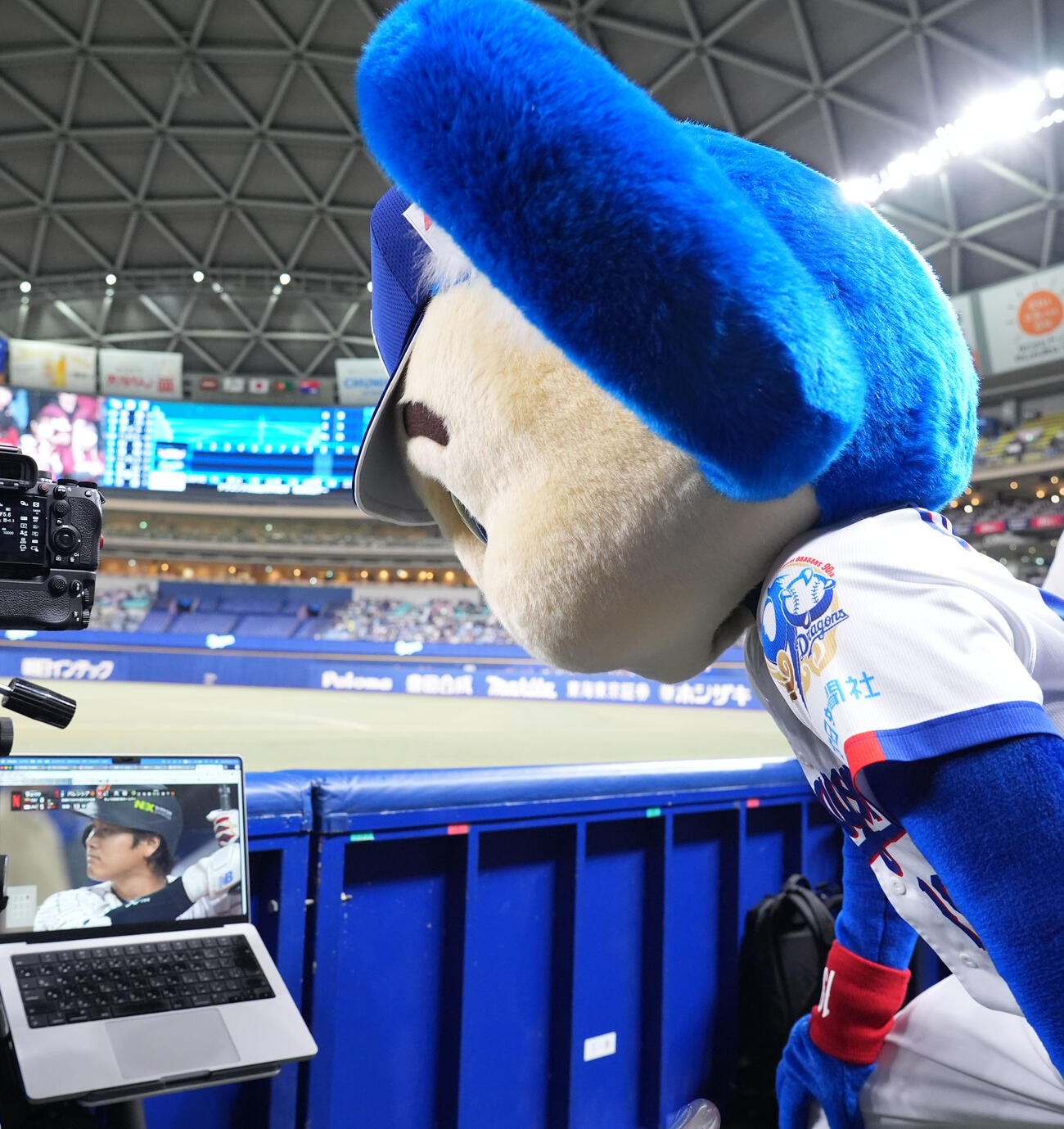中日対楽天　試合前、WBCが気になり大谷翔平の打席を見つめるドアラ（撮影・森本幸一）