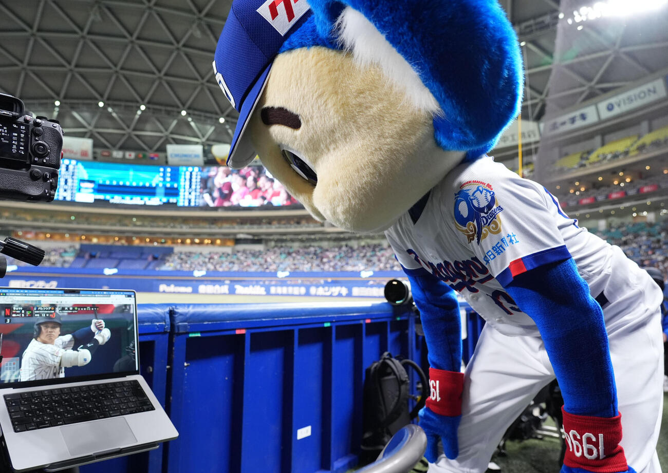 中日対楽天　試合前、WBCが気になり大谷翔平の打席を見つめるドアラ（撮影・森本幸一）