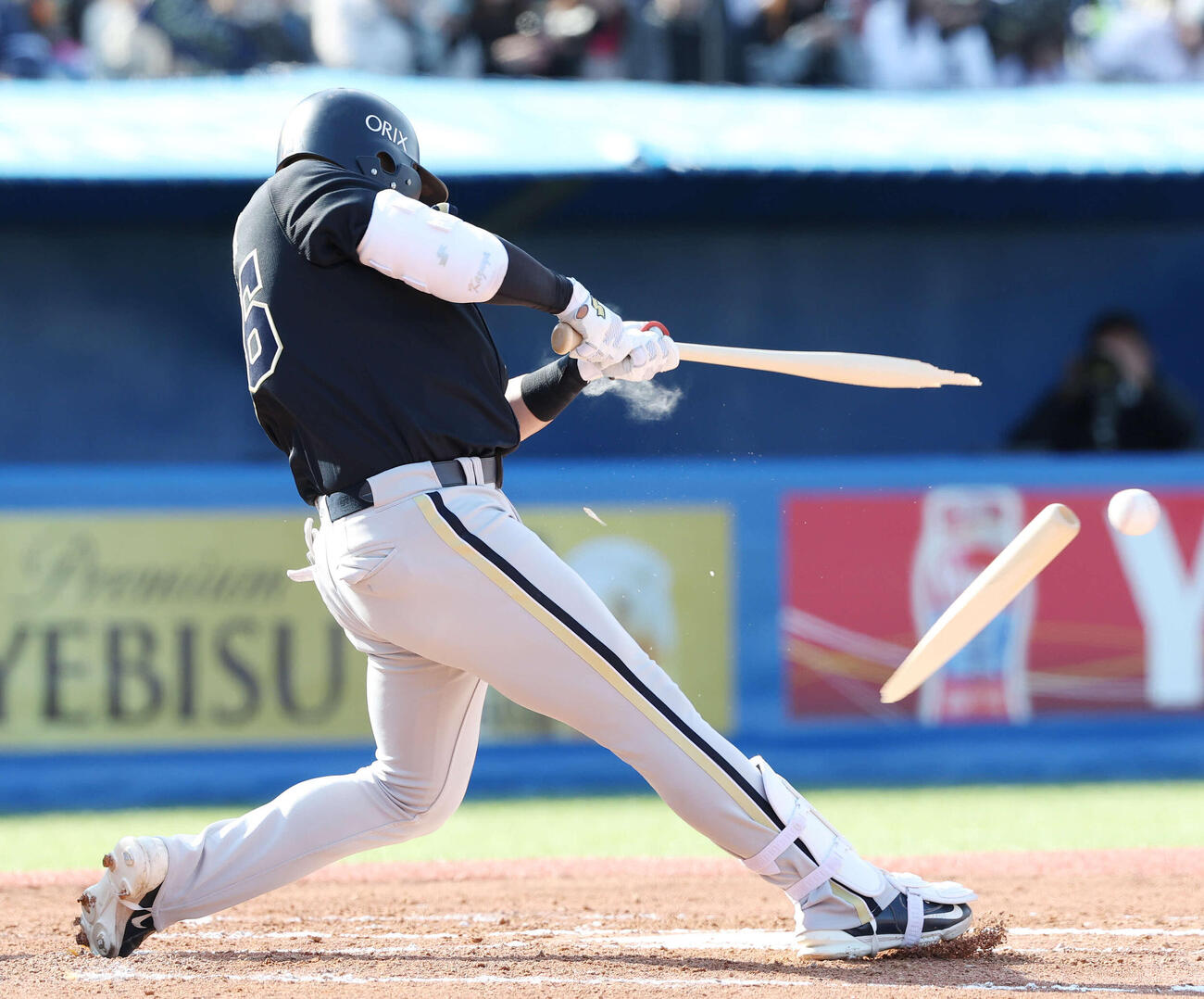 ヤクルト対オリックス　6回表オリックス無死満塁、バット折りながら併殺打を放つ香月（撮影・宮地輝）