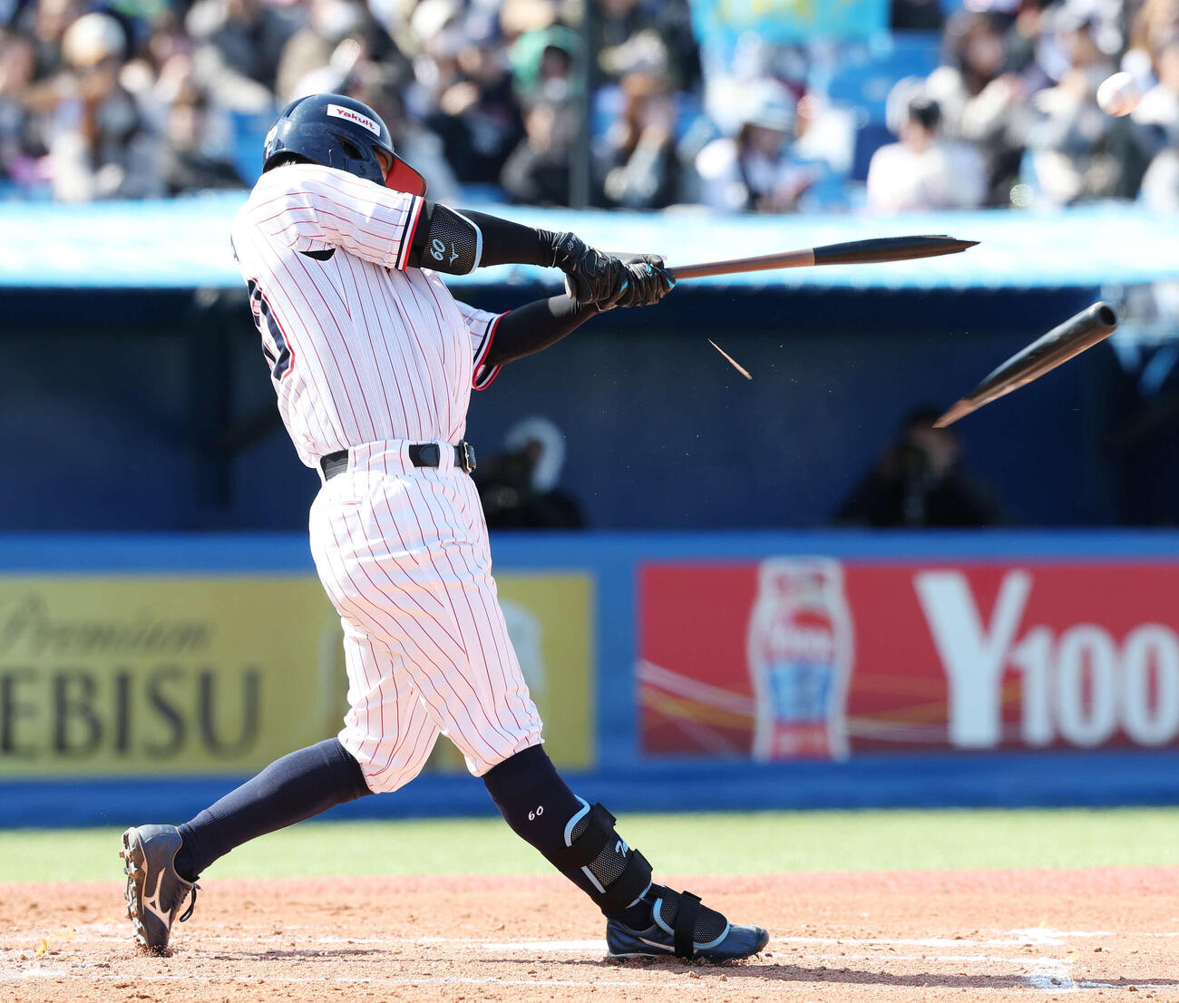 ヤクルト対オリックス　2回裏ヤクルト2死、バットを折りながら右前打を放つ武岡（撮影・宮地輝）