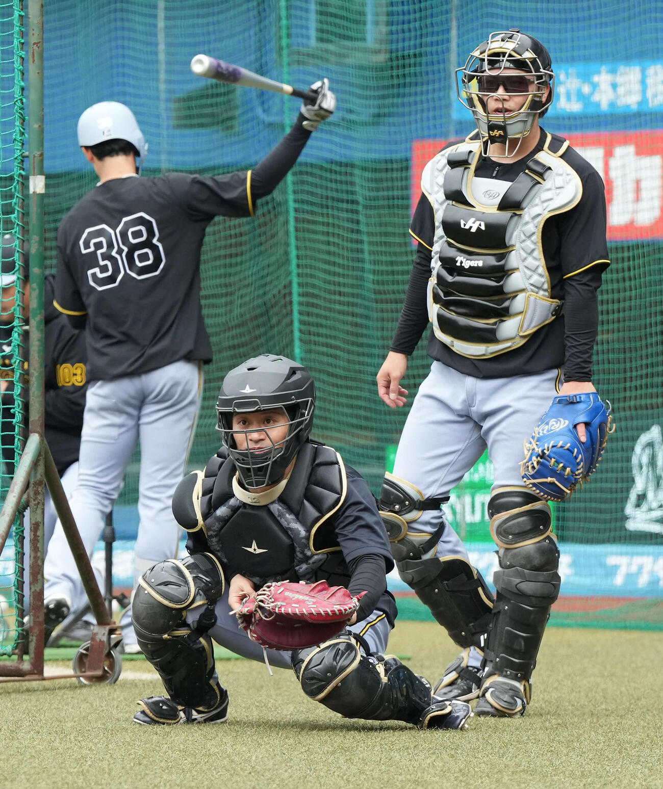 ロッテ対阪神　練習に参加する阪神坂本（撮影・たえ見朱実）
