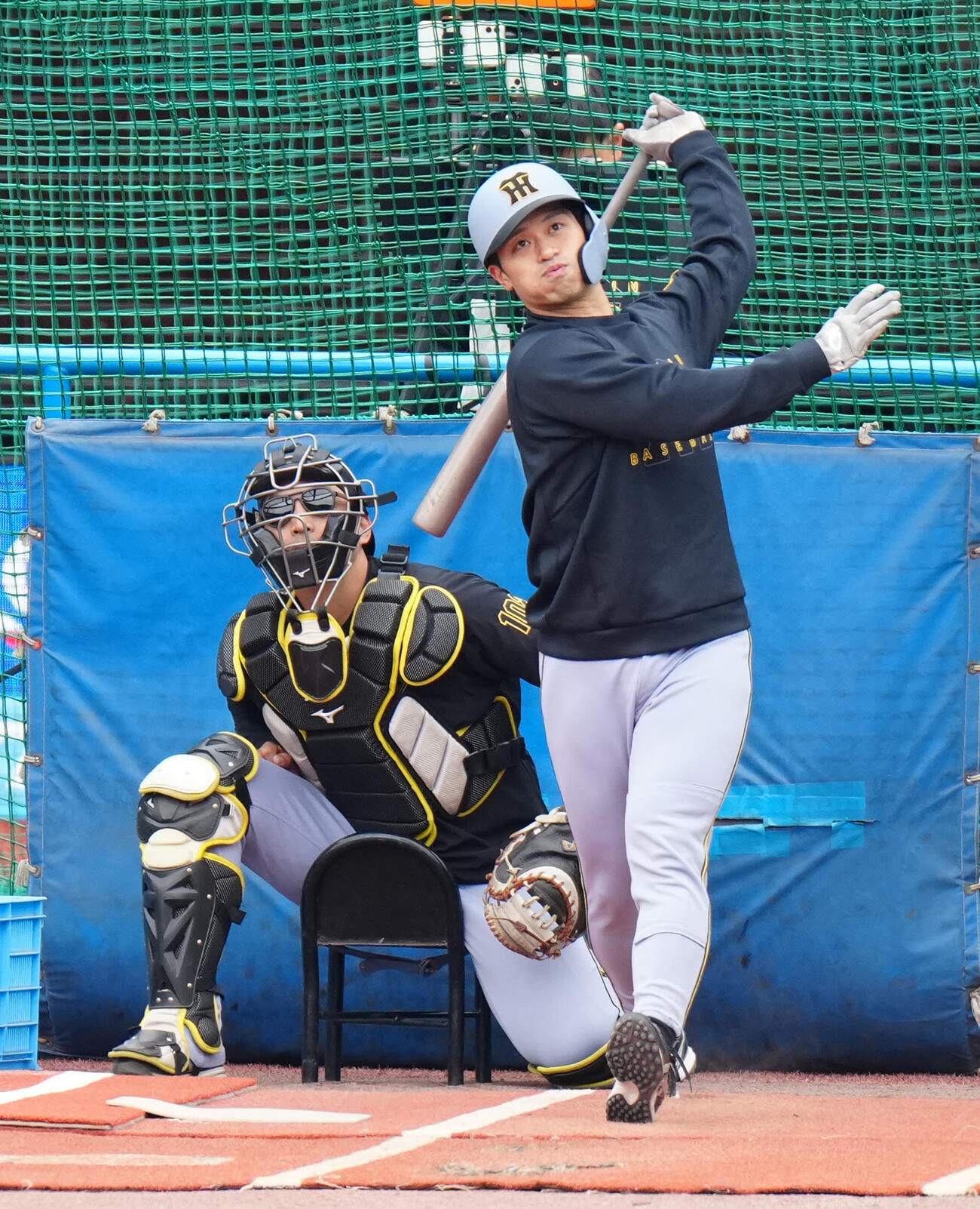 ロッテ対阪神　試合前、打撃練習する阪神坂本（撮影・江口和貴）