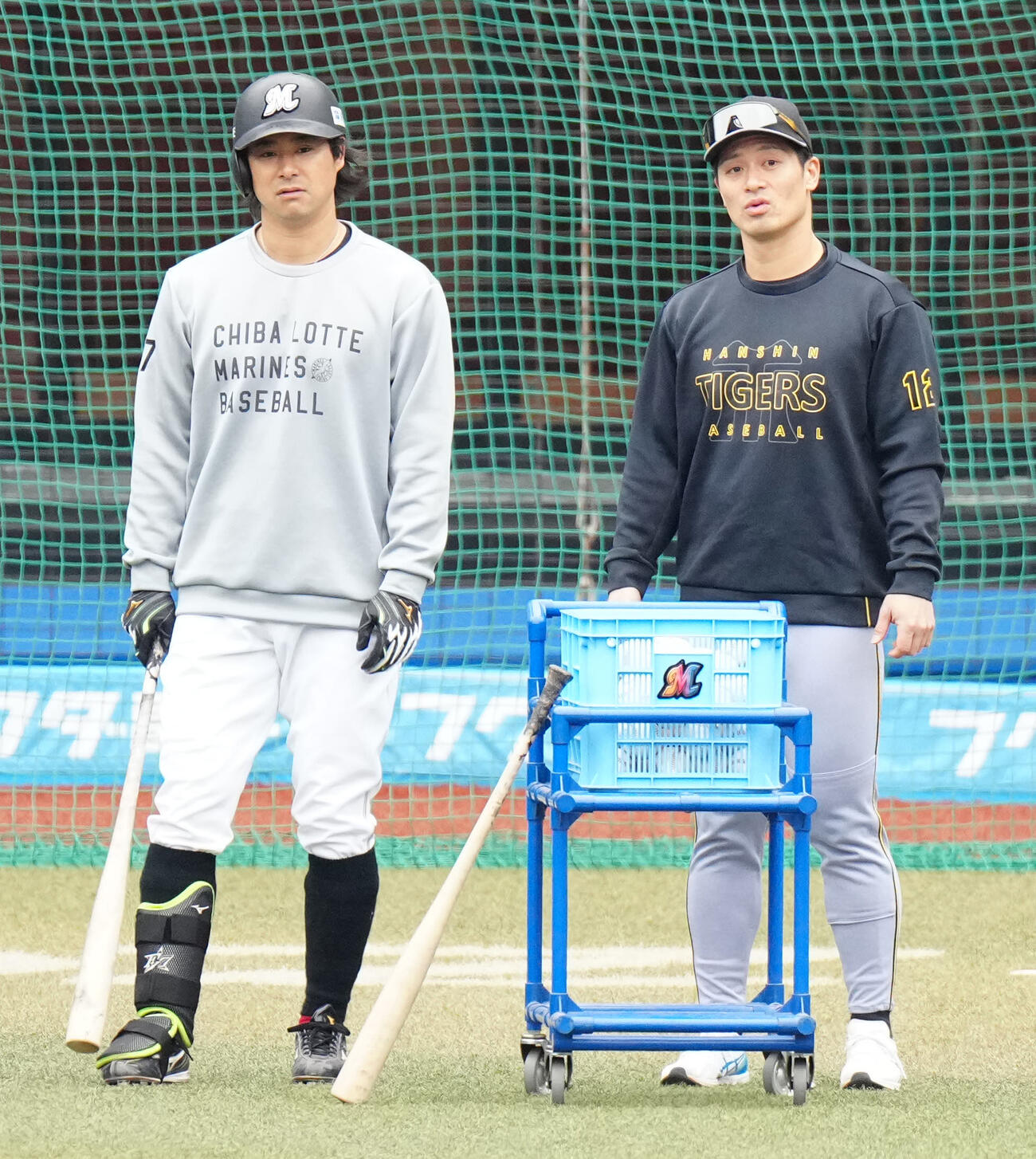 ロッテ対阪神　試合前、言葉を交わすロッテ藤岡（左）と阪神坂本（撮影・江口和貴）