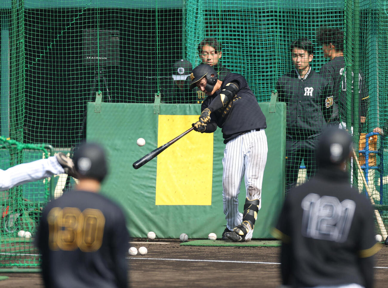 ファーム・リーグ西地区阪神対オリックス　打撃練習する阪神立石（撮影・白石智彦）