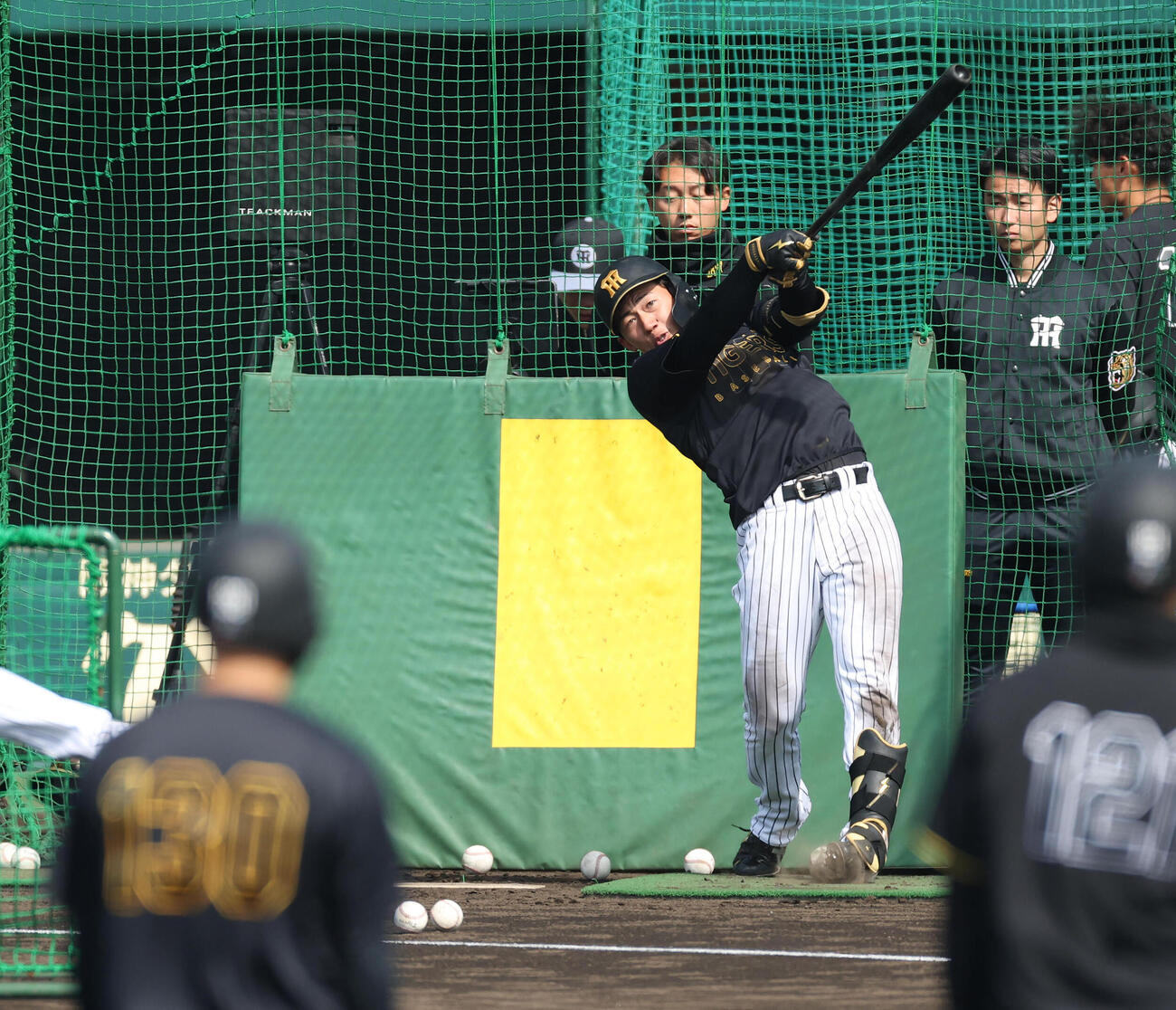 ファーム・リーグ西地区阪神対オリックス　打撃練習する阪神立石（撮影・白石智彦）