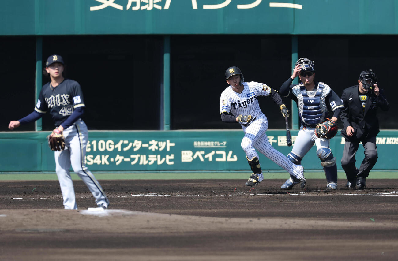 ファーム・リーグ西地区阪神対オリックス　2回裏阪神無死一塁、立石は左前打を放つ。投手片山（撮影・白石智彦）
