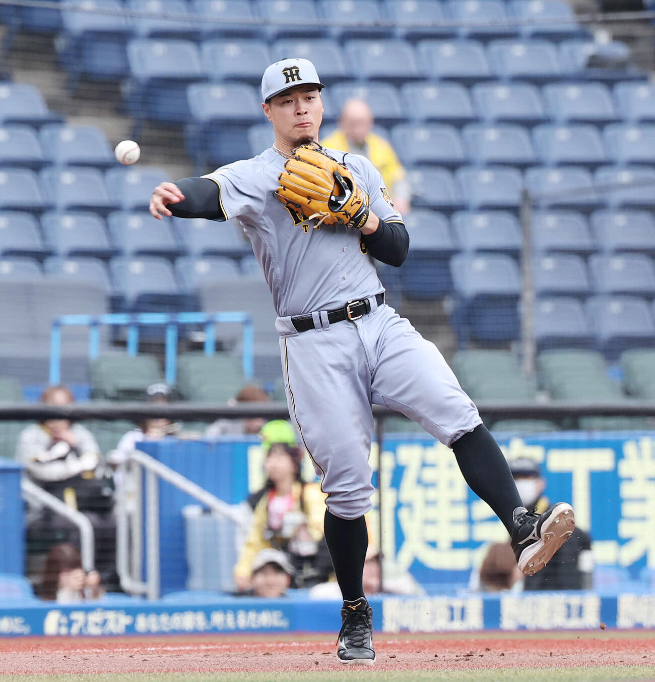 ロッテ対阪神　試合前、ノックを受ける阪神佐藤（撮影・宮地輝）