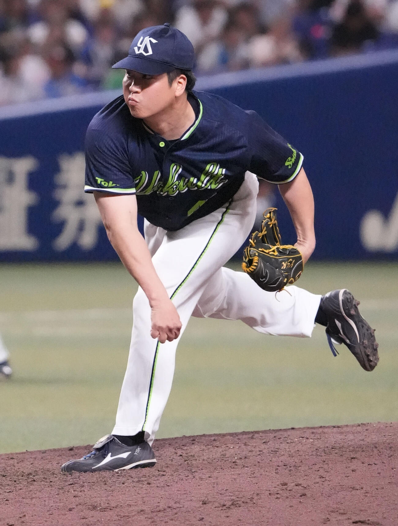 ヤクルト拓也（2025年9月撮影）