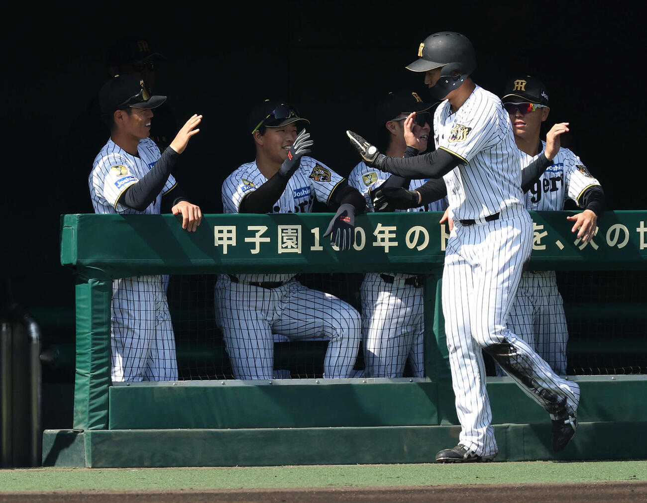 ファーム・リーグ西地区阪神対オリックス　2回裏阪神1死一、二塁、コンスエグラの左適時打で生還した立石（右）はナインとタッチを交わす（撮影・白石智彦）