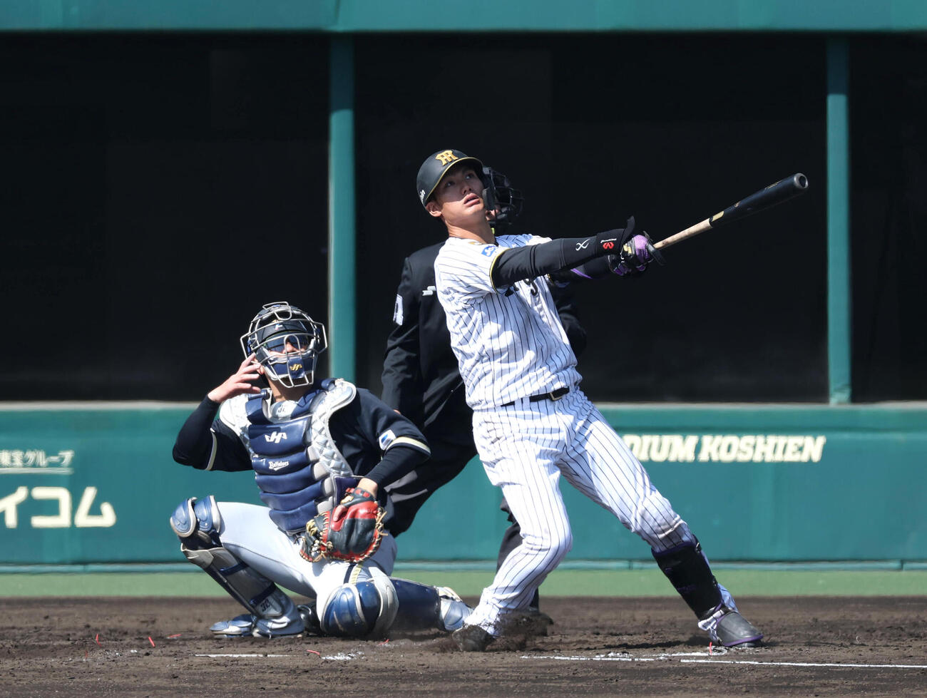 ファーム・リーグ西地区阪神対オリックス　3回裏阪神2死一塁、西純は左翼に大飛球を放つ（撮影・白石智彦）