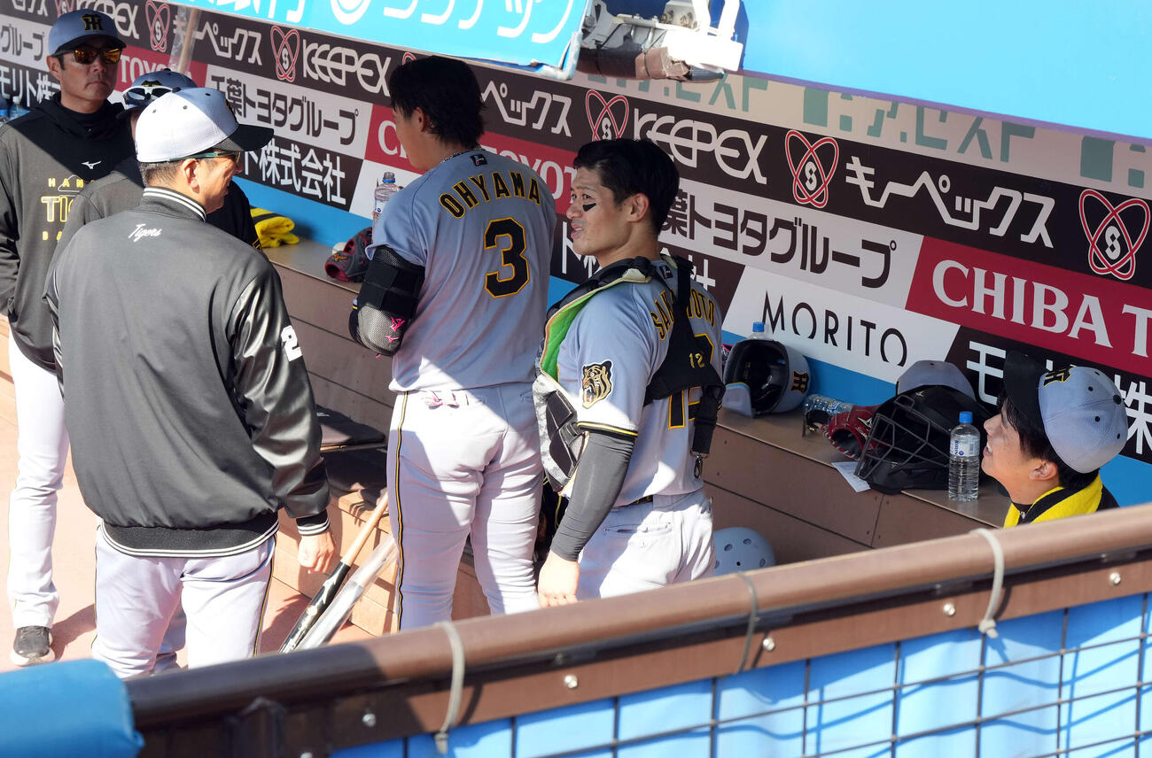 ロッテ対阪神　5回終了、ベンチで話をする（左から）藤川監督、坂本、才木（撮影・たえ見朱実）