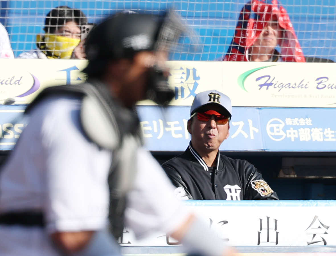 ロッテ対阪神　戦況を見つめる阪神藤川監督（撮影・宮地輝）