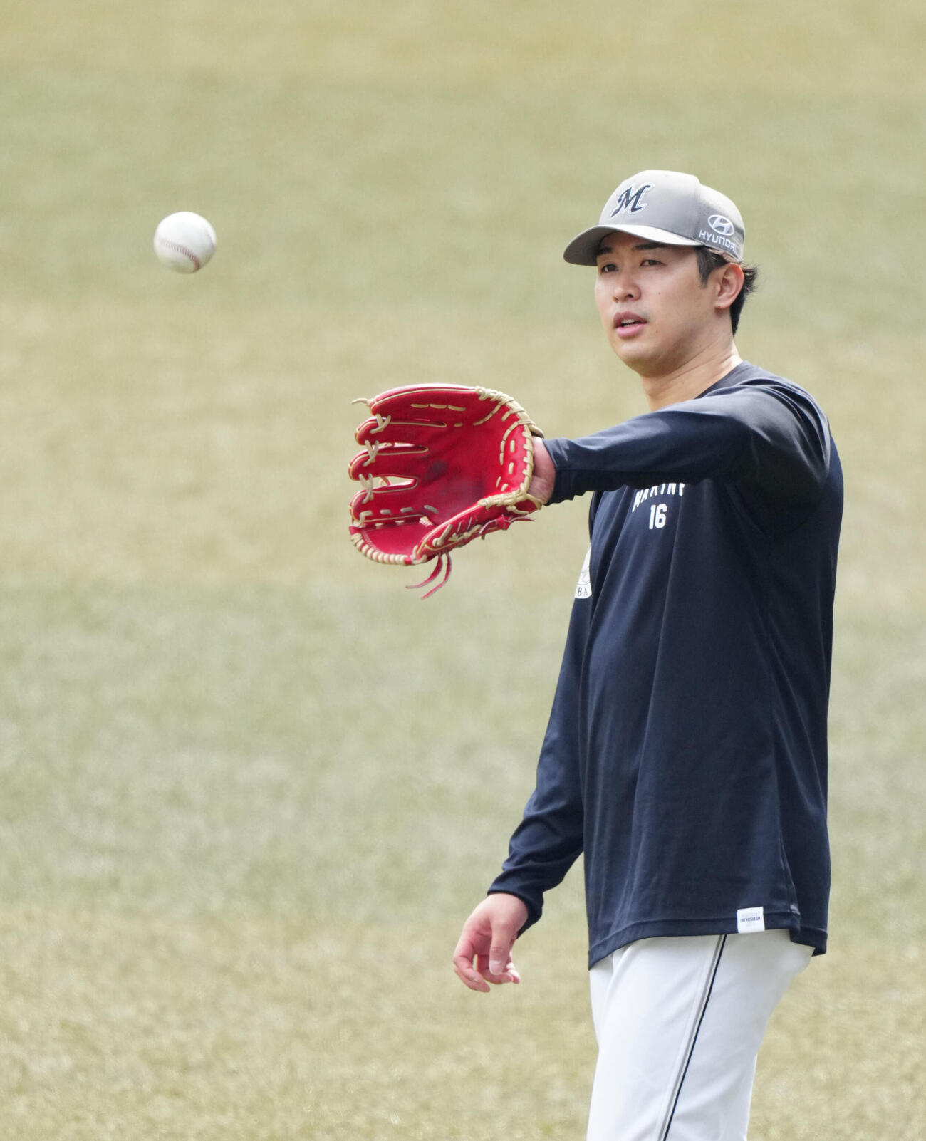ロッテ対阪神　試合前練習でキャッチボールするロッテ種市（撮影・江口和貴）