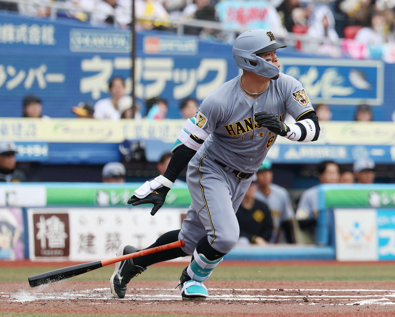 ロッテ対阪神　3回表阪神2死、二直に倒れる佐藤（撮影・宮地輝）